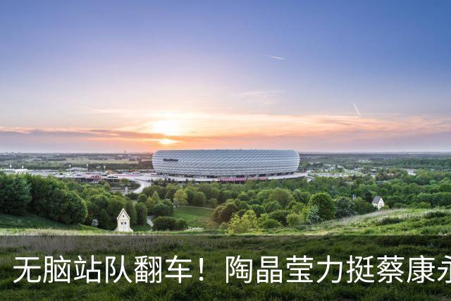 无脑站队翻车！陶晶莹力挺蔡康永夸他有智慧，双面人黑历史被扒光